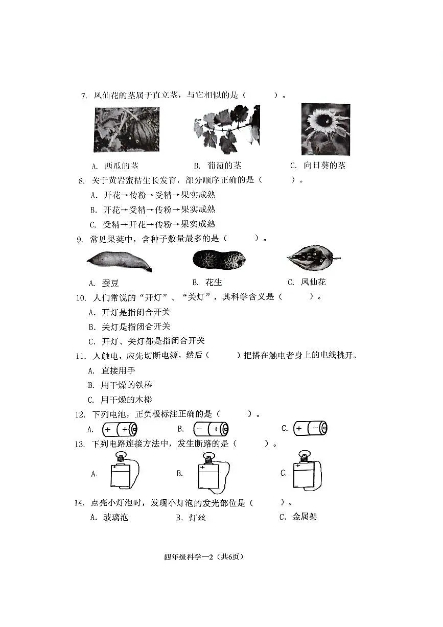 浙江省台州市椒江区2023-2024学年第二学期四年级科学期末试卷（教科版，无答案）第2页