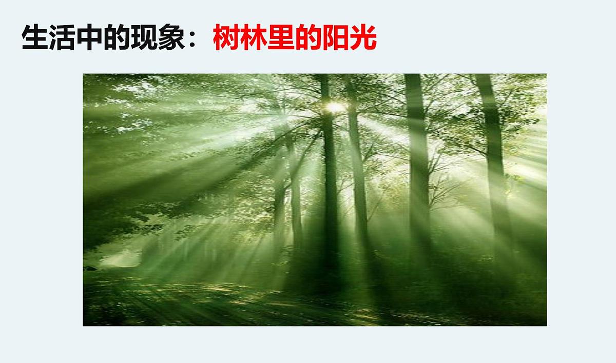 教科版小学科学五年级上册1-2《光是怎样传播的》课件第5页
