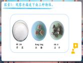 【核心素養(yǎng)優(yōu)質(zhì)課】教科版一年級下冊科學(xué)1.7 它們?nèi)ツ睦锪耍ń虒W(xué)課件+同步教案）