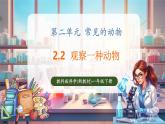 【核心素養(yǎng)優(yōu)質(zhì)課】教科版一年級(jí)下冊(cè)科學(xué)2.2 觀察一種動(dòng)物（教學(xué)課件+同步教案）