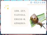 【核心素養(yǎng)優(yōu)質(zhì)課】教科版一年級(jí)下冊(cè)科學(xué)2.2 觀察一種動(dòng)物（教學(xué)課件+同步教案）