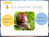 【核心素養(yǎng)優(yōu)質(zhì)課】教科版一年級(jí)下冊(cè)科學(xué)2.2 觀察一種動(dòng)物（教學(xué)課件+同步教案）