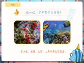 【核心素養(yǎng)優(yōu)質(zhì)課】教科版一年級下冊科學(xué)2.4 水中的動物（教學(xué)課件+同步教案）