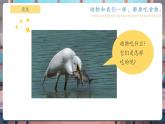 【核心素養(yǎng)優(yōu)質(zhì)課】教科版一年級(jí)下冊(cè)科學(xué)2.5 它們吃什么（教學(xué)課件+同步教案）