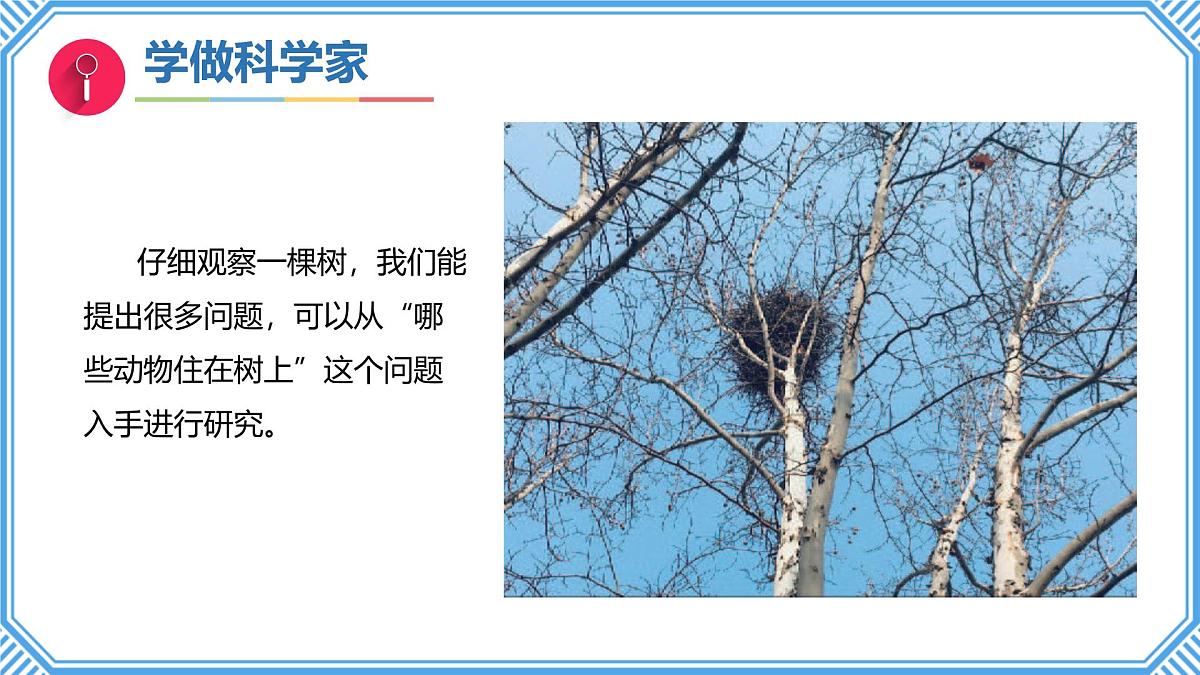 专项学习《像科学家那样》课件 小学科学苏教版（2024）一年级下册第8页