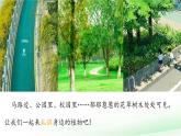 第11課 多姿多彩的植物 課件 小學科學蘇教版（2024）一年級下冊第四單元