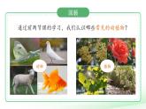 第12課 動物與植物 課件 小學科學蘇教版（2024）一年級下冊第四單元