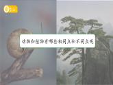 第12課 動物與植物 課件 小學科學蘇教版（2024）一年級下冊第四單元