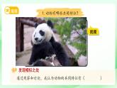 第12課 動物與植物 課件 小學科學蘇教版（2024）一年級下冊第四單元