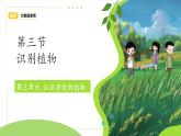 3.3 識別植物 課件 小學(xué)科學(xué)大象版（2024）一年級下冊第三單元