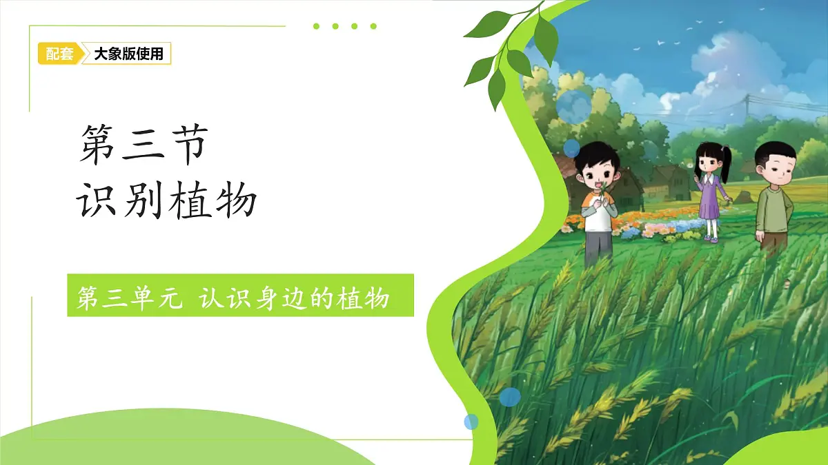 3.3 识别植物 课件 小学科学大象版（2024）一年级下册第三单元第1页
