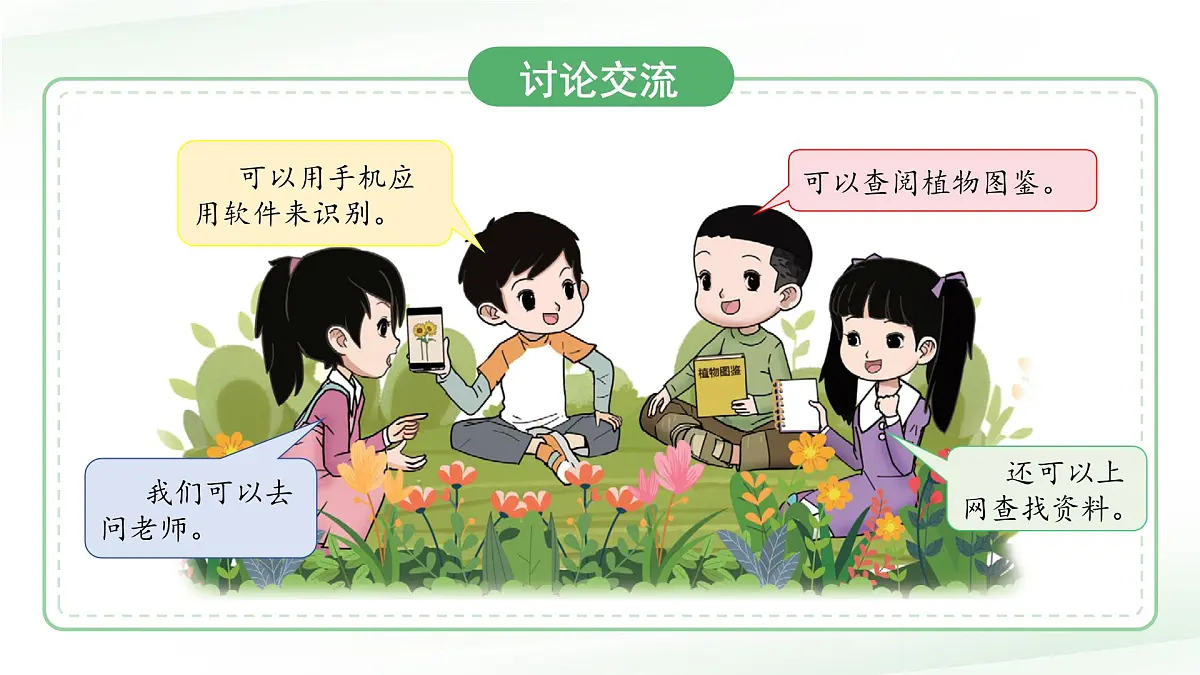 3.3 识别植物 课件 小学科学大象版（2024）一年级下册第三单元第8页