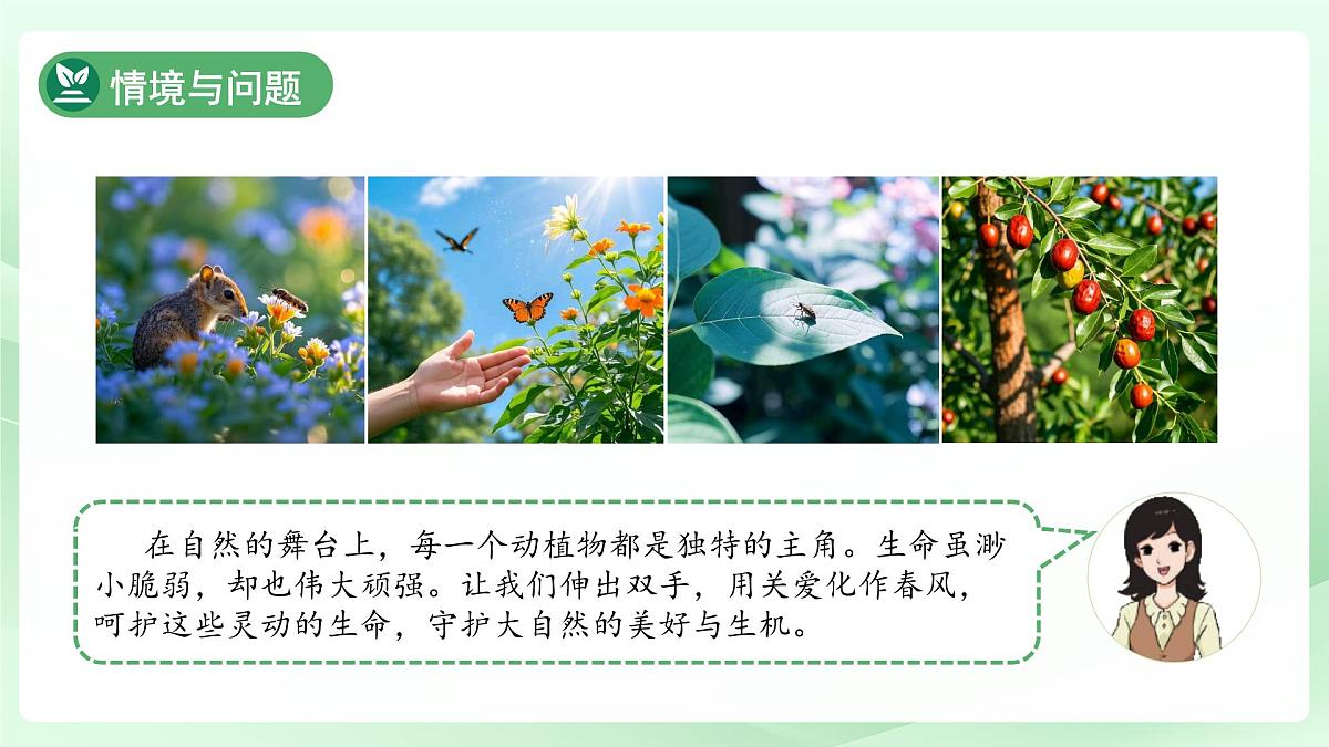 第9课 关爱行动 课件 小学科学冀人版（2024）一年级下册第3页