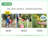 第9課 關愛行動 課件 小學科學冀人版（2024）一年級下冊