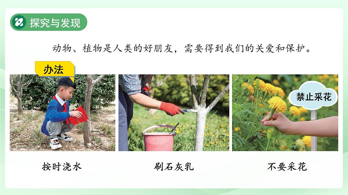 第9课 关爱行动 课件 小学科学冀人版（2024）一年级下册第5页