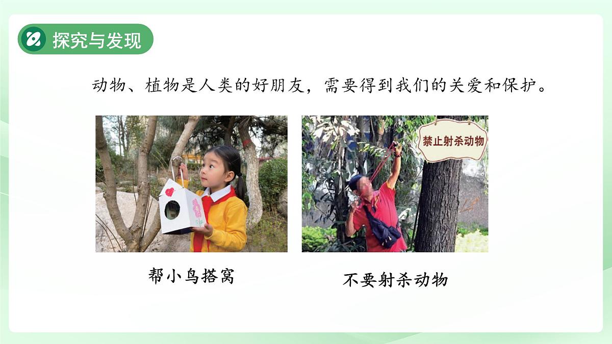 第9课 关爱行动 课件 小学科学冀人版（2024）一年级下册第6页