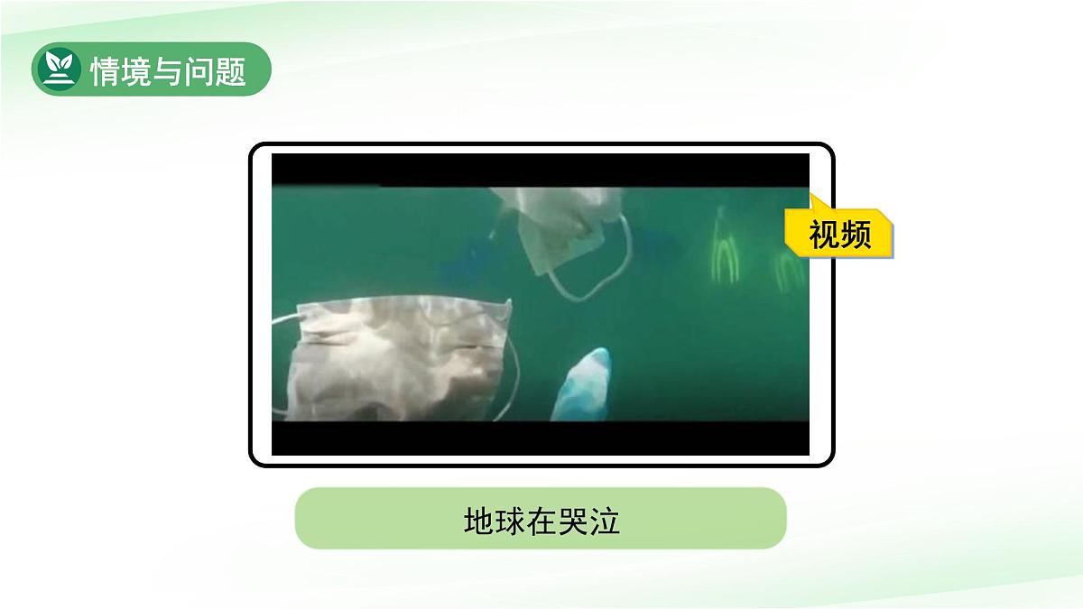 第11课 和谐共生 第1课时课件 小学科学冀人版（2024）一年级下册第6页