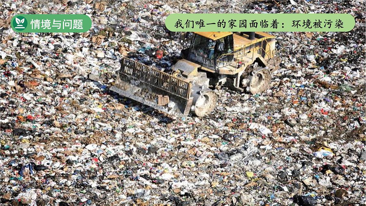 第11课 和谐共生 第1课时课件 小学科学冀人版（2024）一年级下册第8页