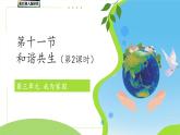 第11課 和諧共生 第2課時課件 小學科學冀人版（2024）一年級下冊