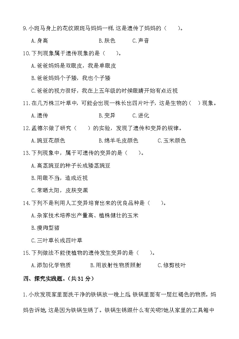 广东省梅州市2024-2025学年六年级上册苏教版科学“期中综合素质测评（一）”试题第3页