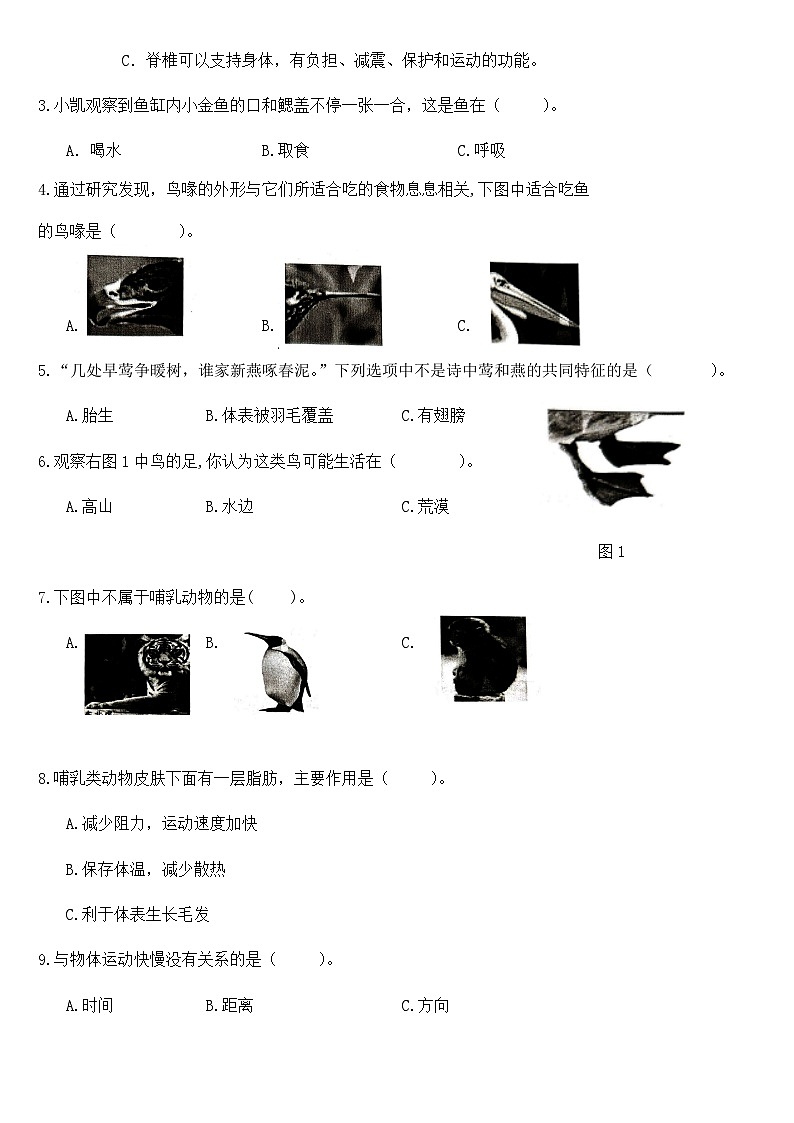 广东省梅州市2024-2025学年四年级上册苏教版科学“期中综合素质测评（一）”试题第2页