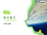 第四單元 動物與植物 單元復習課件 小學科學蘇教版（2024）一年級下冊