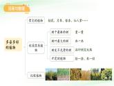 第四單元 動物與植物 單元復習課件 小學科學蘇教版（2024）一年級下冊