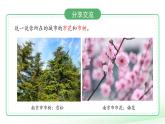 第四單元 動物與植物 單元復習課件 小學科學蘇教版（2024）一年級下冊