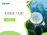 反思單元 從肉眼到天眼 課件 小學(xué)科學(xué)大象版（2024）一年級下冊