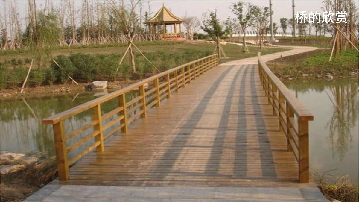 第11课 设计一座纸桥 课件 科学粤教粤科版（2024）一年级下册第四单元第5页