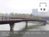 第13課 創(chuàng)作科普劇 課件 科學粵教粵科版（2024）一年級下冊第四單元