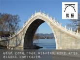 第13課 創(chuàng)作科普劇 課件 科學粵教粵科版（2024）一年級下冊第四單元