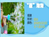 青島版（2024年）小學(xué)科學(xué)一年級上冊1.吹泡泡課件