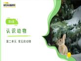 第6課 認(rèn)識(shí)動(dòng)物 課件 小學(xué)科學(xué)青島版六三制（2024）一年級(jí)下冊(cè)