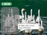 第6課 認(rèn)識(shí)動(dòng)物 課件 小學(xué)科學(xué)青島版六三制（2024）一年級(jí)下冊(cè)