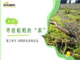 第13課 尋找蚯蚓的“家”課件 小學(xué)科學(xué)青島版六三制（2024）一年級(jí)下冊(cè)第三單元