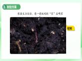 第13課 尋找蚯蚓的“家”課件 小學(xué)科學(xué)青島版六三制（2024）一年級(jí)下冊(cè)第三單元
