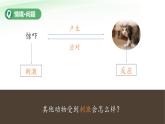 第12課 動(dòng)物的反應(yīng) 課件 小學(xué)科學(xué)青島版六三制（2024）一年級(jí)下冊(cè)第三單元