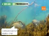 第11課 動(dòng)物的運(yùn)動(dòng) 課件 小學(xué)科學(xué)青島版六三制（2024）一年級(jí)下冊(cè)第三單元