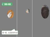 第8課 動(dòng)物的耳朵 課件 小學(xué)科學(xué)青島版六三制（2024）一年級(jí)下冊(cè)第二單元