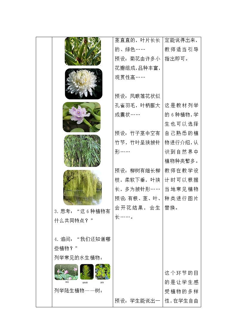 第1课 我们知道的植物 教案 小学科学教科版（2024）一年级上册第一单元第3页