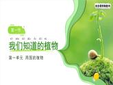 第1課 我們知道的植物 課件 小學(xué)科學(xué)教科版（2024）一年級(jí)上冊(cè)第一單元