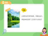 第1課 我們知道的植物 課件 小學(xué)科學(xué)教科版（2024）一年級(jí)上冊(cè)第一單元