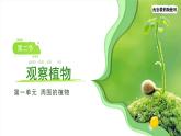 1.2 觀察植物 課件  小學(xué)科學(xué)教科版（2024）一年級(jí)上冊(cè)第一單元