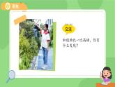 1.2 觀察植物 課件  小學(xué)科學(xué)教科版（2024）一年級(jí)上冊(cè)第一單元