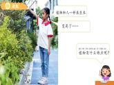 1.2 觀察植物 課件  小學(xué)科學(xué)教科版（2024）一年級(jí)上冊(cè)第一單元
