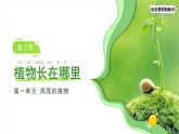 1.3 植物長(zhǎng)在哪里 課件  小學(xué)科學(xué)教科版（2024）一年級(jí)上冊(cè)第一單元