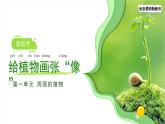 1.4 給植物畫張“像” 課件  科學教科版（2024）一年級上冊第一單元