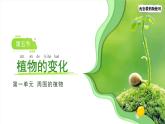 1.5 植物的變化 課件 科學(xué)教科版一年級上冊第一單元