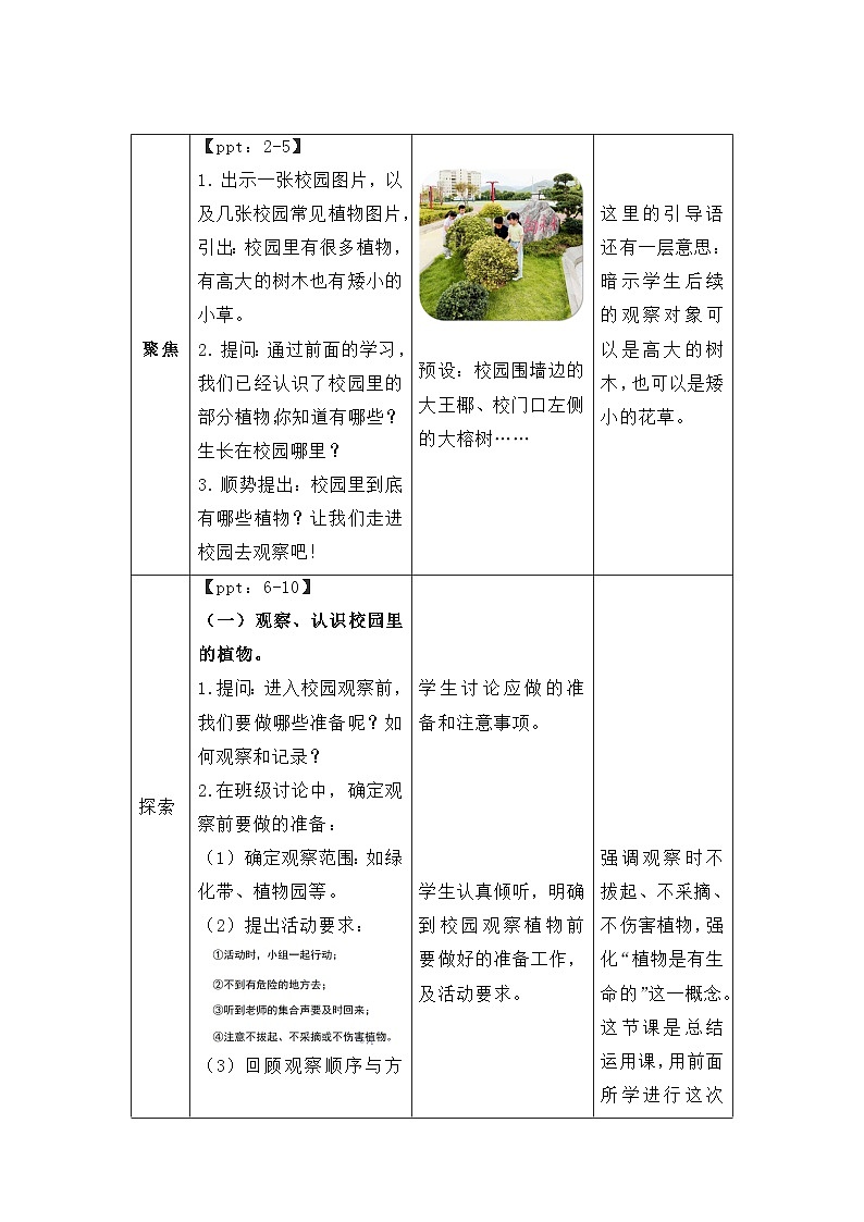 1.6 校园里的植物 教案 科学教科版（2024）一年级上册第一单元第2页